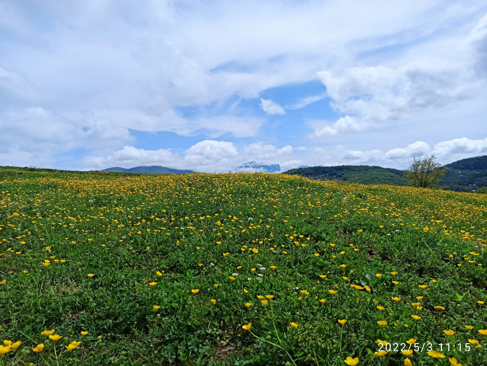 Виды Конные прогулки Сухой Каньон КраснодарWhatsApp Image 2022-11-23 at 08.54.34 (2) Виды конные прогулки Сухой Каньон Архыз