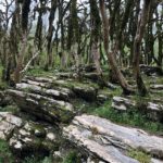 ehkskursiya-na-kvadrociklah-v-gorah