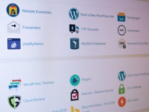 Оптимизация сайта на CMS WordPress