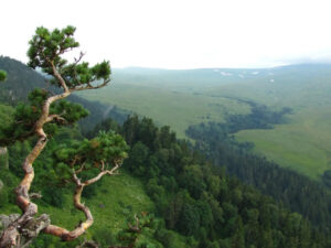 Экскурсия горы Адыгеи