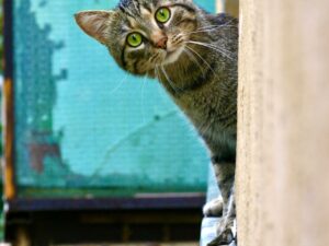 Поиск в труднодоступных местах