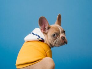 Установка камер для поиска